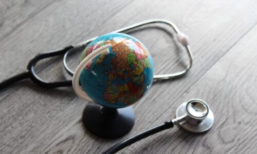 Doctor in Political Science and International Relations