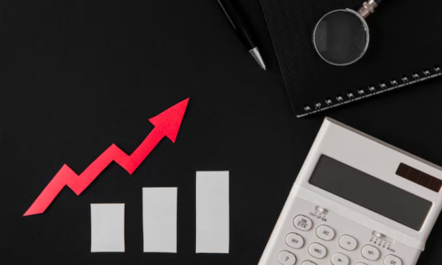 The Merits and Demerits of Profit Maximisation for MBA Professionals: A Strategic Perspective