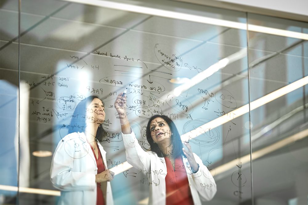 Psychology and education doctoral research and counselling