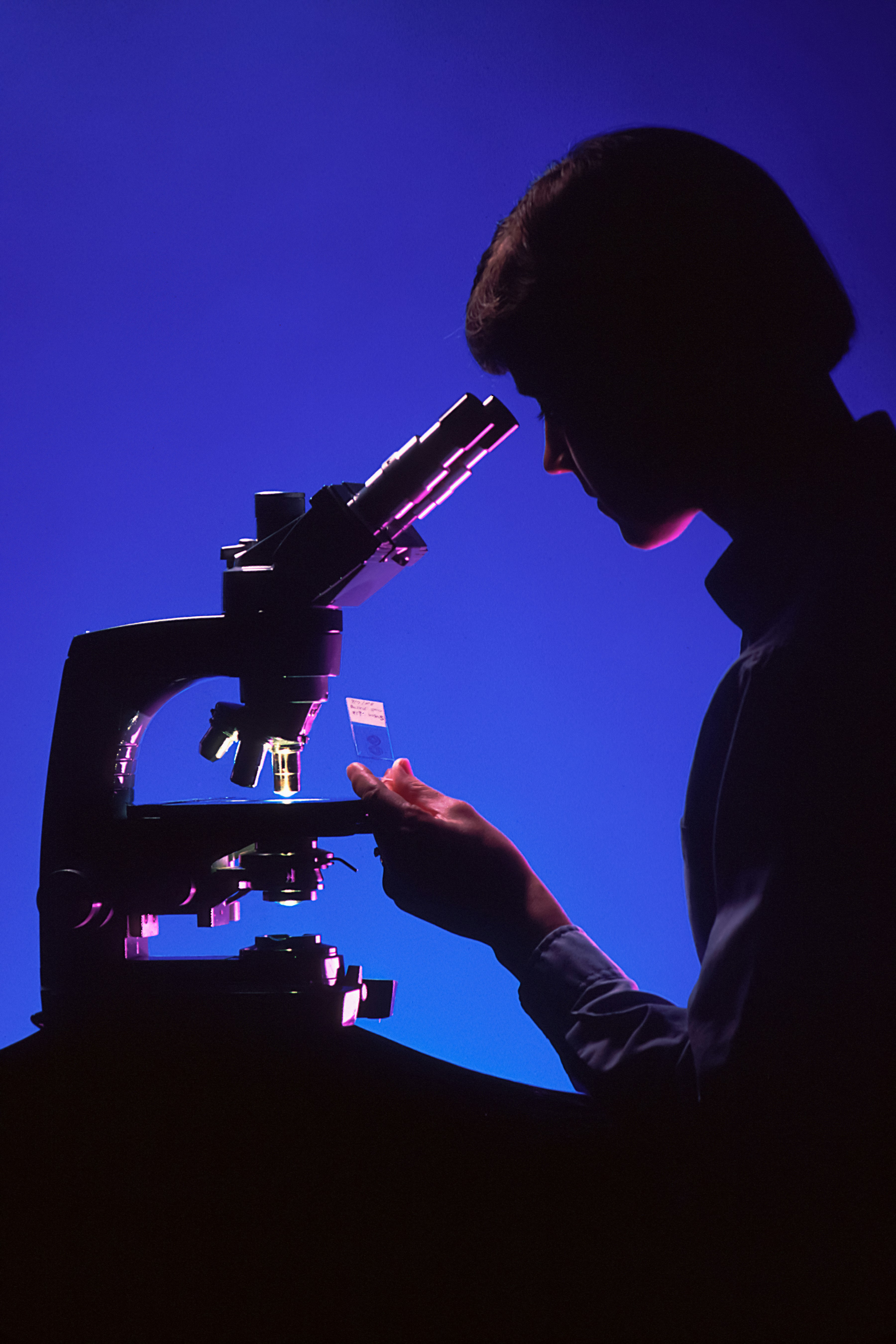 Occupational health, safety and healthcare management doctoral study